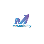 mrsocialfly.com logo