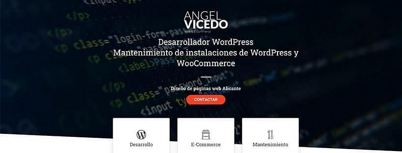 Ángel Vicedo - Desarrollador WordPress Freelance cover