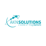 AKN Business Solutions Inc. logo
