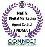 NDMA Agent Co.ltd logo