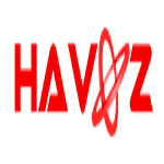 Havooz ICT Services logo