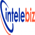 Intelebiz Software Pvt Ltd.