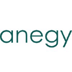 Anegy Digital Consulting