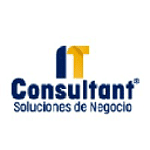 IT Consultant - Soluciones de Negocio