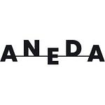 Aneda Design Studio logo