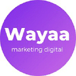 WayaaMX Marketing digital para Emprendedores y PYMES