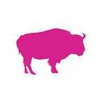 Pink Buffalo Films