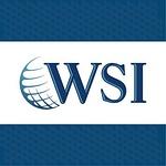 WSI Consultores logo
