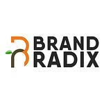 Brand Radix - Graphic and Website Designing Company