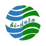 Bidata Limited logo