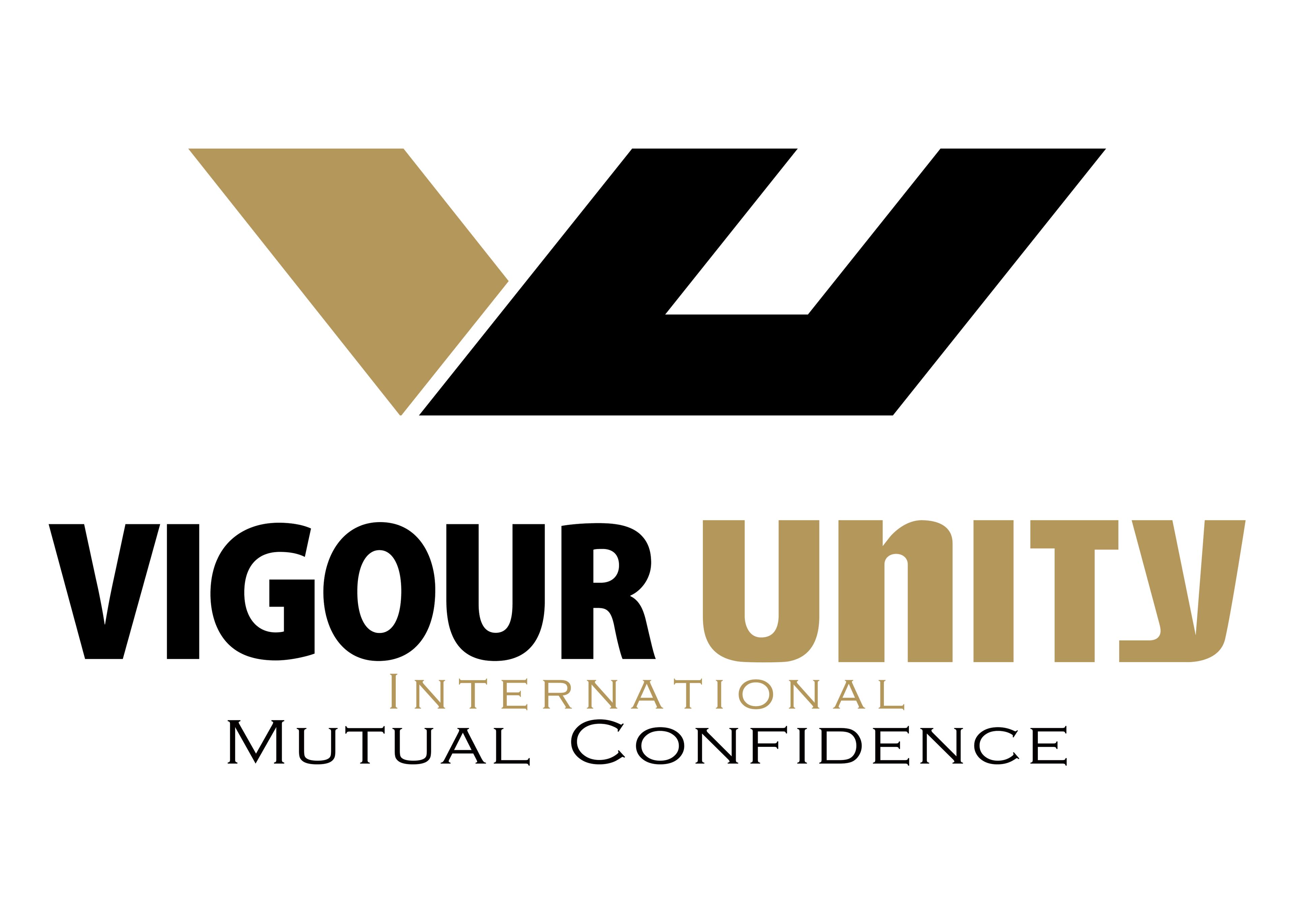 Mitsubishi Electric Egypt | VIGOUR Unity cover