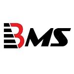 BMS Auditing logo