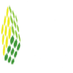 Brox Ltd - Sterling Software Solutions