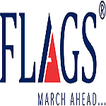 Flags digital logo