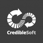 CredibleSoft Technology Solutions