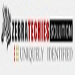 Zebra Techies Solution logo