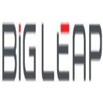 BigLeap logo