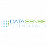 Datasense Technologies logo