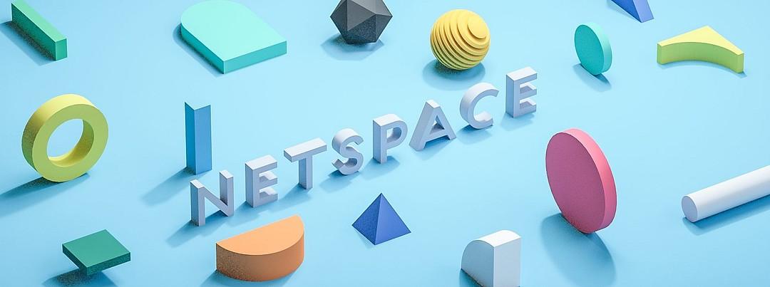 Netspace cover