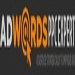 Adwords PPC Expert logo