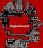 Digitalhound Ltd logo