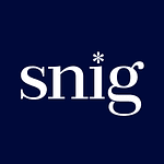 snig.digital logo