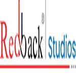 Redback IT Solutions logo