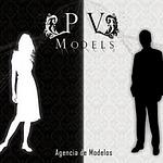 PV MODELS GROUP logo