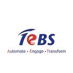 Total eBiz Solutions logo