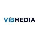 VibMedia logo