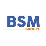 BSM groupe logo