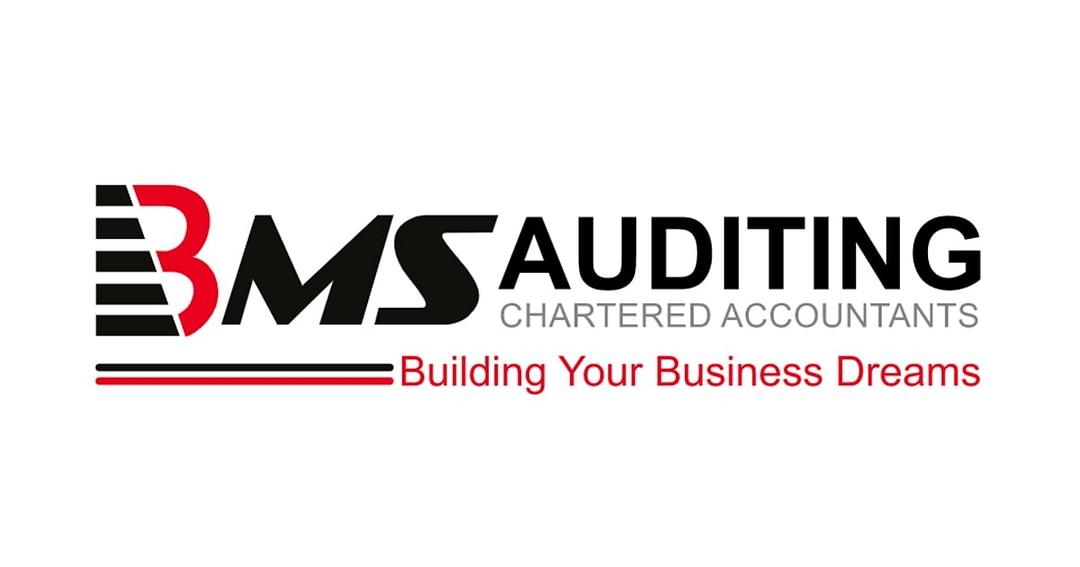 BMS Auditing cover