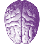 Purple Brain Venise logo