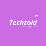 Techzoid Microsystem logo