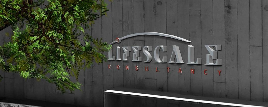 Lifescale Consultancy cover