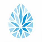 Bluestone Digital logo