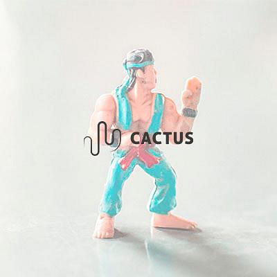 We are Cactus S.L. cover