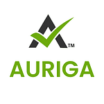 AURIGA ACCOUNTING PRIVATE LIMITED