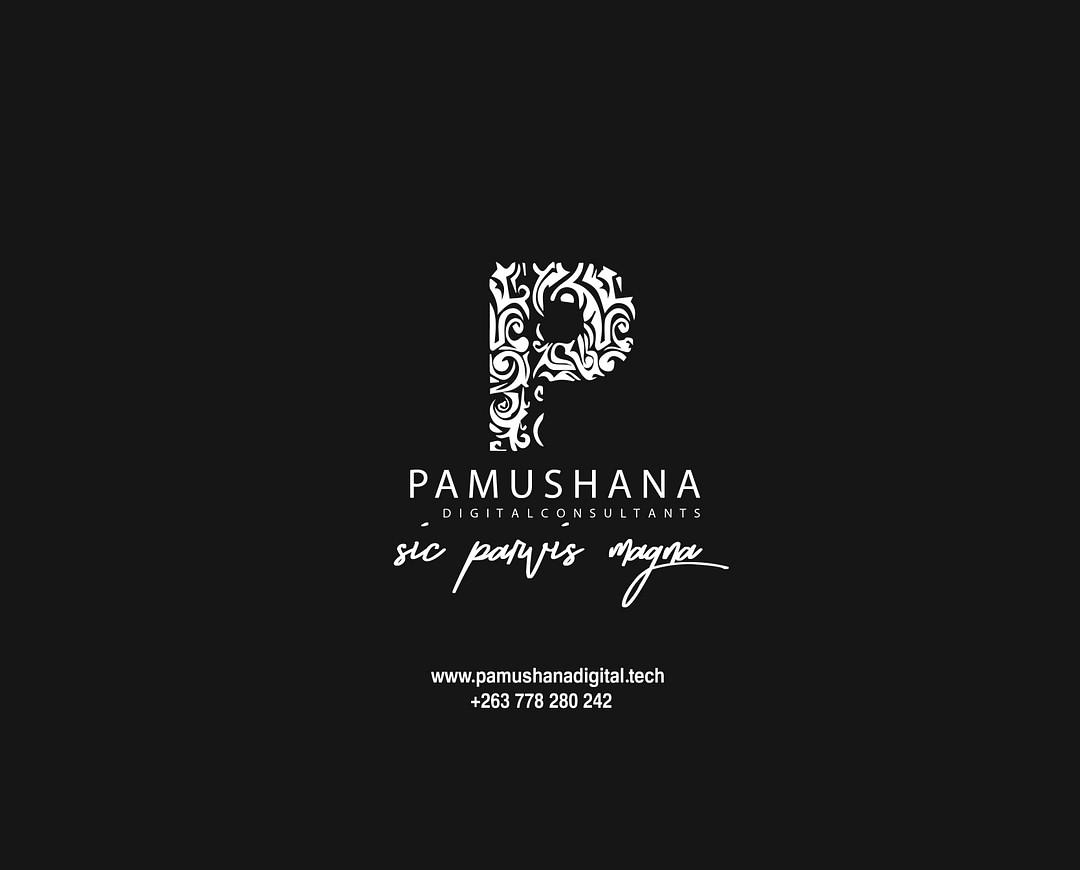 Pamushana Digital cover