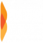 BrandZtory logo