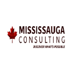 Mississauga Consulting - Digital Marketing, SEO, Web Design