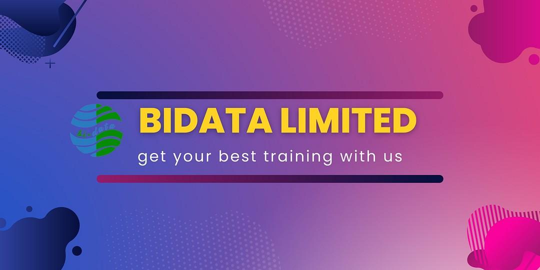 Bidata Limited cover