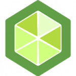 Lime Commerce logo