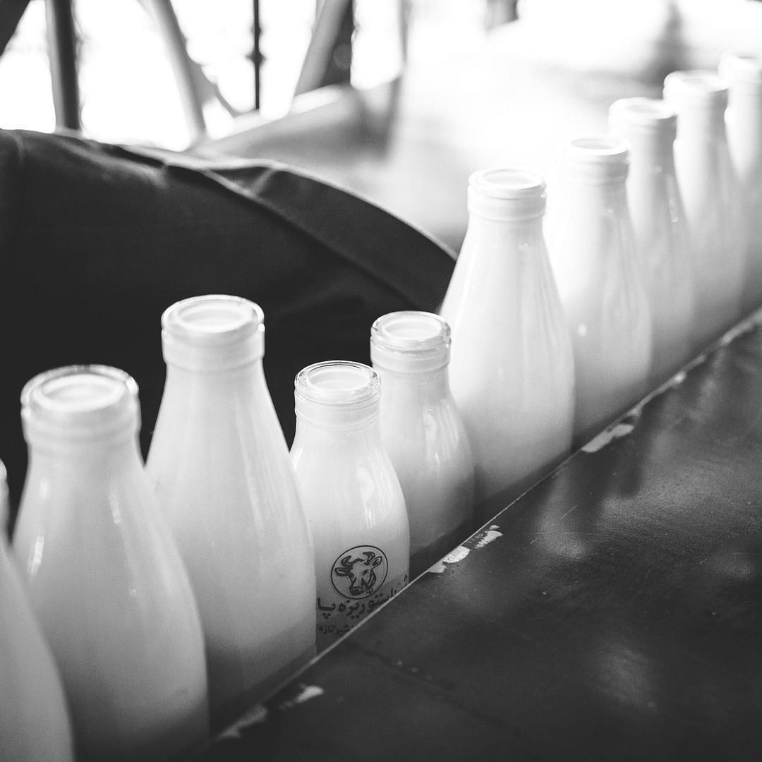Milk Vilnius cover