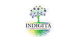 InDigita logo