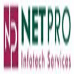 Netpro Infotech