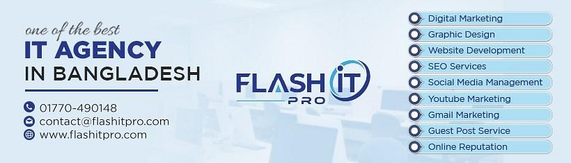 Flash IT Pro cover