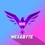 Wexabyte logo