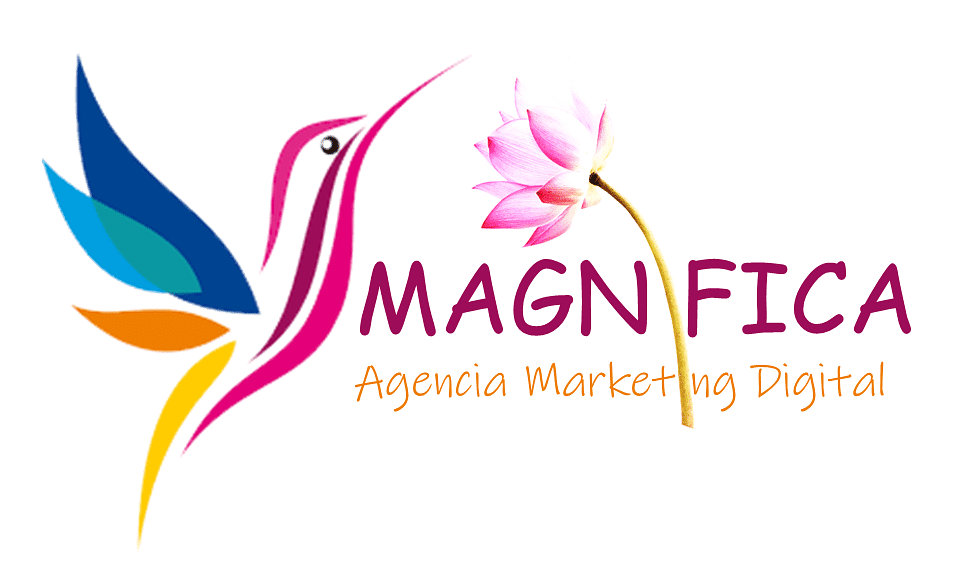 Magnifica Agencia Marketing cover