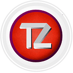 Team Zoom Services Private Lmited